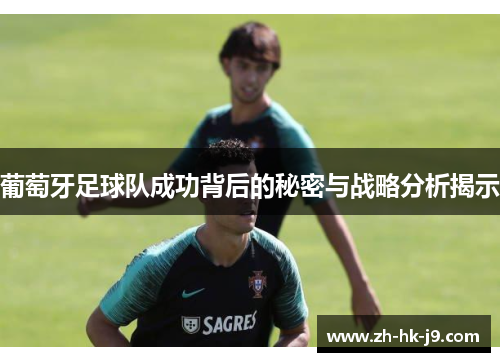 葡萄牙足球队成功背后的秘密与战略分析揭示