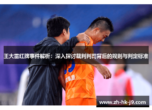 王大雷红牌事件解析：深入探讨裁判判罚背后的规则与判定标准